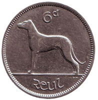Ирландский волкодав. Монета 6 пенсов. 1928 год, Ирландия.