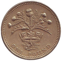 Чертополох. Монета 1 фунт. 1989 год, Великобритания. 
