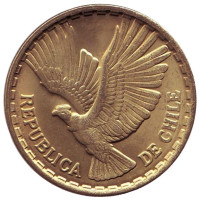 Кондор. Монета 10 чентезимо. 1970 год, Чили.