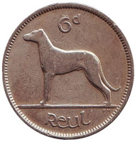 Ирландский волкодав. Монета 6 пенсов. 1949 год, Ирландия.