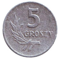 Монета 5 грошей. 1959 год, Польша. Монета 5 грошей. 1959 год, Польша.
