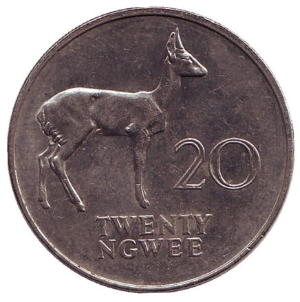 Монета 20 нгве. 1972 год, Замбия. Водяной козел.