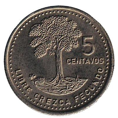 Монета 5 сентаво. 1985 год, Гватемала. Хлопковое дерево.