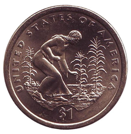 Монета 1 доллар, 2009 год (D), США. Сакагавея. Посадка культур. (Три сестры), серия "Коренные американцы".
