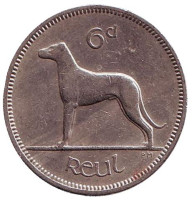 Ирландский волкодав. Монета 6 пенсов. 1960 год, Ирландия.