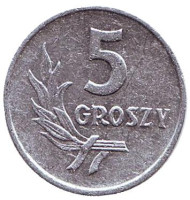 Монета 5 грошей. 1960 год, Польша. Монета 5 грошей. 1960 год, Польша.
