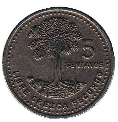 Монета 5 сентаво. 1986 год, Гватемала. Хлопковое дерево.