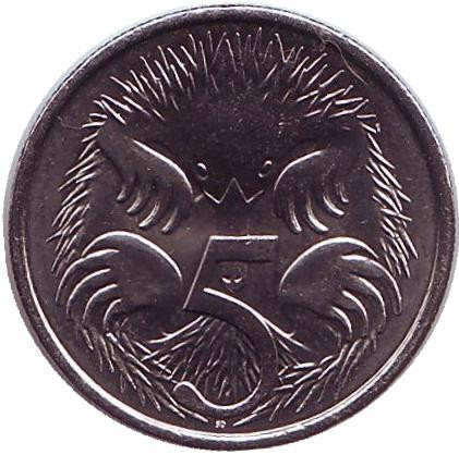 Монета 5 центов. 2016 год, Австралия. Ехидна. 50 лет десятичной системе.