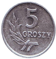 Монета 5 грошей. 1961 год, Польша. Монета 5 грошей. 1961 год, Польша.
