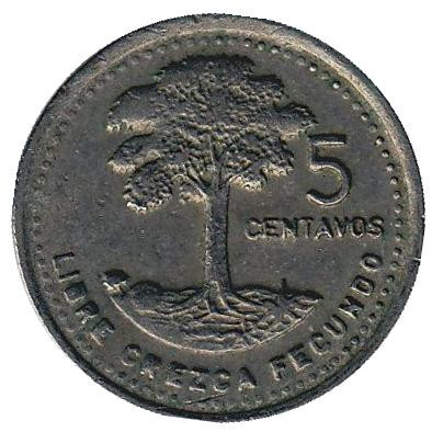 Монета 5 сентаво. 1990 год, Гватемала. Хлопковое дерево.