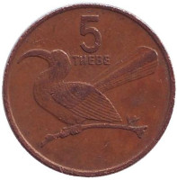 Птица-носорог. Монета 5 тхебе. 1988 год, Ботсвана. 