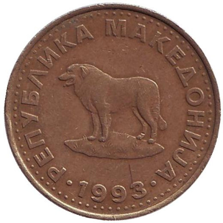 Монета 1 денар, 1993 год, Македония. Пастушья собака.