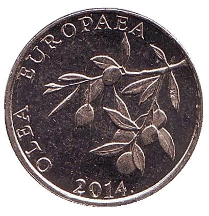 Монета 20 лип. 2014 год, Хорватия. Олива европейская.