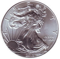 Шагающая свобода. Монета 1 доллар, 2013 год, США. (Без отметки монетного двора)
