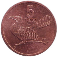 Птица-носорог. Монета 5 тхебе. 1996 год, Ботсвана. 