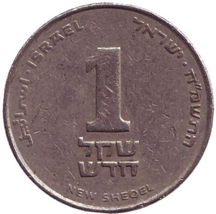 Монета 1 новый шекель. 1988 год, Израиль.