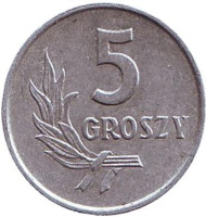 Монета 5 грошей. 1971 год, Польша. Монета 5 грошей. 1971 год, Польша.