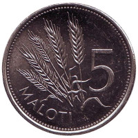 Колосья пшеницы. Монета 5 малоти. 1996 год, Лесото. 