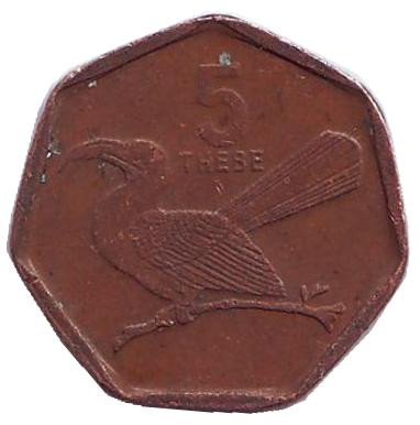 Монета 5 тхебе. 2007 год, Ботсвана. Из обращения. Птица-носорог.