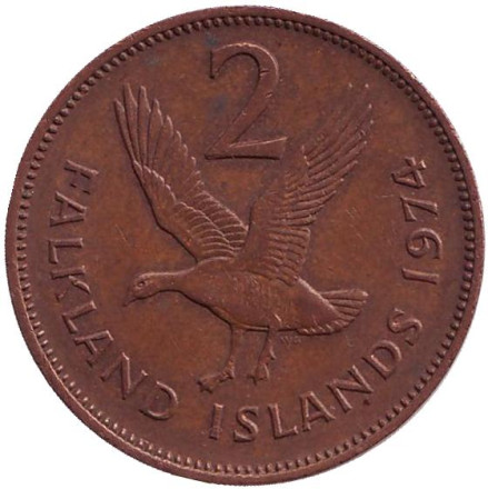 Монета 2 пенса. 1974 год, Фолклендские острова. Магелланов гусь.