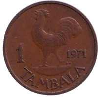 Петух. Монета 1 тамбала, 1971 год, Малави.