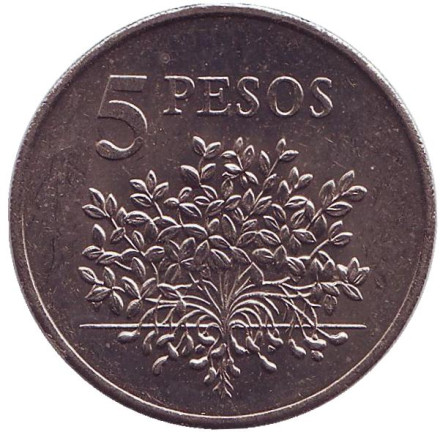 Монета 5 песо. 1977 год, Гвинея-Бисау. Растение.