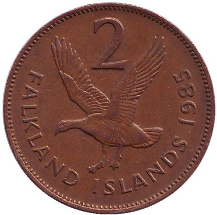 Монета 2 пенса. 1985 год, Фолклендские острова. Магелланов гусь.