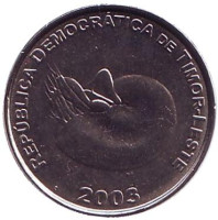 Моллюск Наутилус. Монета 1 сентаво. 2003 год, Восточный Тимор.