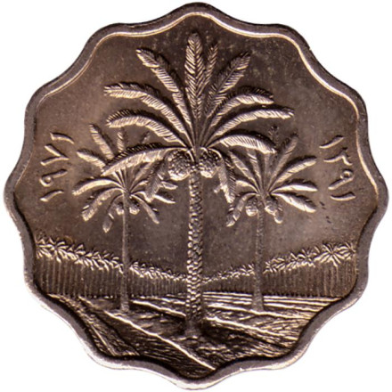 Монета 5 филсов. 1971 год, Ирак. (Немагнитная). Пальмы. UNC.