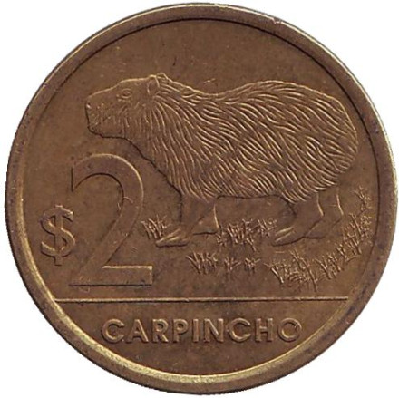 Монета 2 песо. 2011 год, Уругвай. Из обращения. Водосвинка (капибара).