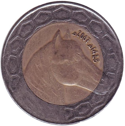 Монета 100 динаров. 2007 год, Алжир. Лошадь.