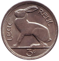 Монета 3 пенса. 1968 год, Ирландия. Заяц.