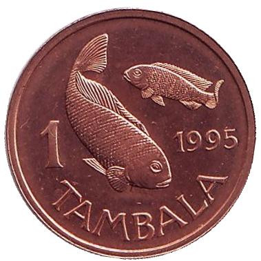 Монета 1 тамбала, 1995 год, Малави. (Немагнитная) Рыбы.