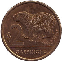 Водосвинка (капибара). Монета 2 песо. 2012 год, Уругвай. Из обращения.