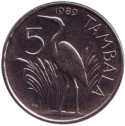 Монета 5 тамбал, 1989 год, Малави. Цапля.