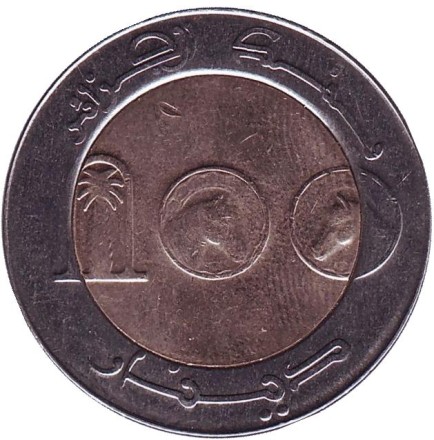 Монета 100 динаров. 2017 год, Алжир. Лошадь.