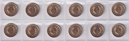 Набор из 12 монет. 1 куруш. 2021 год, Турция. Птицы Анатолии. Набор из 12 монет. 1 куруш. 2021 год, Турция. Птицы Анатолии.