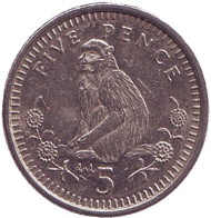 Монета 5 пенсов. 1996 год, Гибралтар. Варварийская обезьяна.