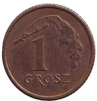 Монета 1 грош, 1995 год, Польша. Дубовый лист. Монета 1 грош, 1995 год, Польша. Дубовый лист.