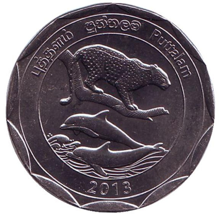 Монета 10 рупий. 2013 год, Шри-Ланка. Путталам. Округа Шри-Ланки.