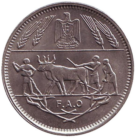 Монета 10 пиастров. 1970 год, Египет. ФАО.