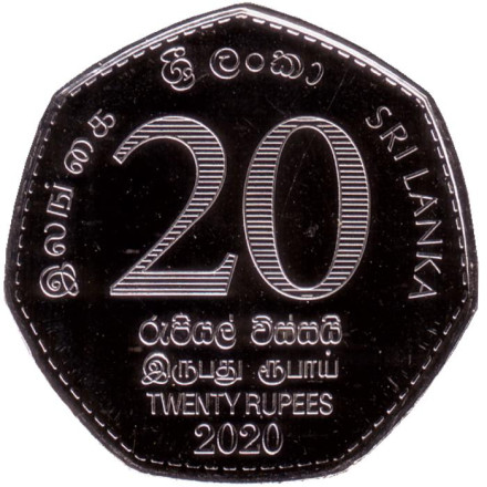 Монета 20 рупий. 2020 год, Шри-Ланка. 150 лет медицинскому факультету университета Коломбо. Монета 20 рупий. 2020 год, Шри-Ланка. 150 лет медицинскому факультету университета Коломбо.