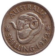 Монета 1 шиллинг. 1952 год, Австралия. Баран. Монета 1 шиллинг. 1952 год, Австралия. Баран.