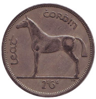 Монета 1/2 кроны. 1959 год, Ирландия. Лошадь.