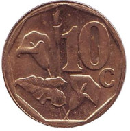 Монета 10 центов. 2001 год, Южная Африка. Лилия.