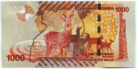 Банкнота 1000 шиллингов. 2017 год, Уганда.