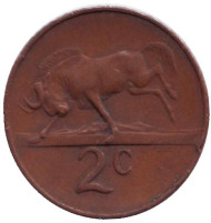 Монета 2 цента. 1965 год, Южная Африка. (South Africa). Белохвостый гну. Монета 2 цента. 1965 год, Южная Африка. (South Africa). Белохвостый гну.