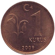 Монета 1 куруш. 2009 год, Турция. aUNC. Монета 1 куруш. 2009 год, Турция. aUNC.