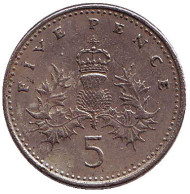 Монета 5 пенсов. 1991 год, Великобритания. Монета 5 пенсов. 1991 год, Великобритания.