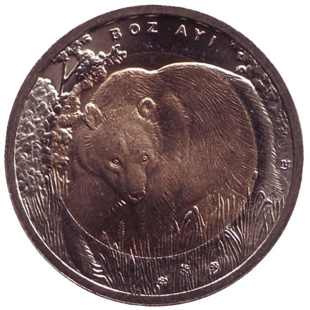 Монета 1 лира, 2011 год, Турция. Медведь.